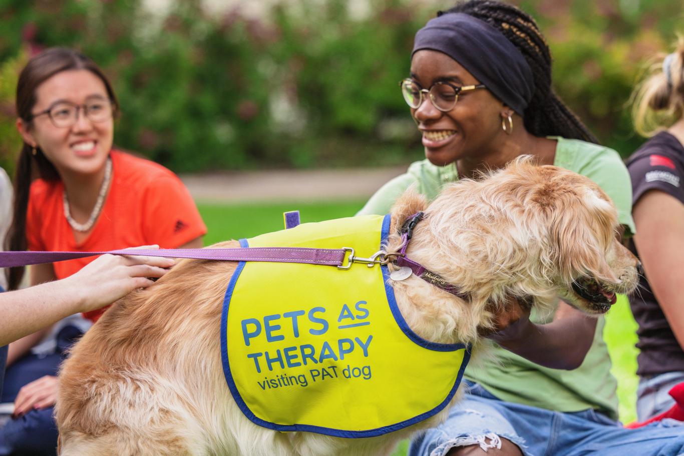 A CLC pupil strokes a dog wearing Pets as Therapy vest as part of the Wellbeing Programme