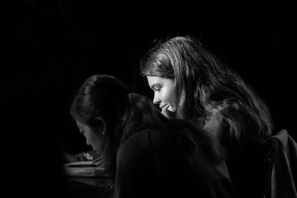 The IB Collaborative Science Project 2024