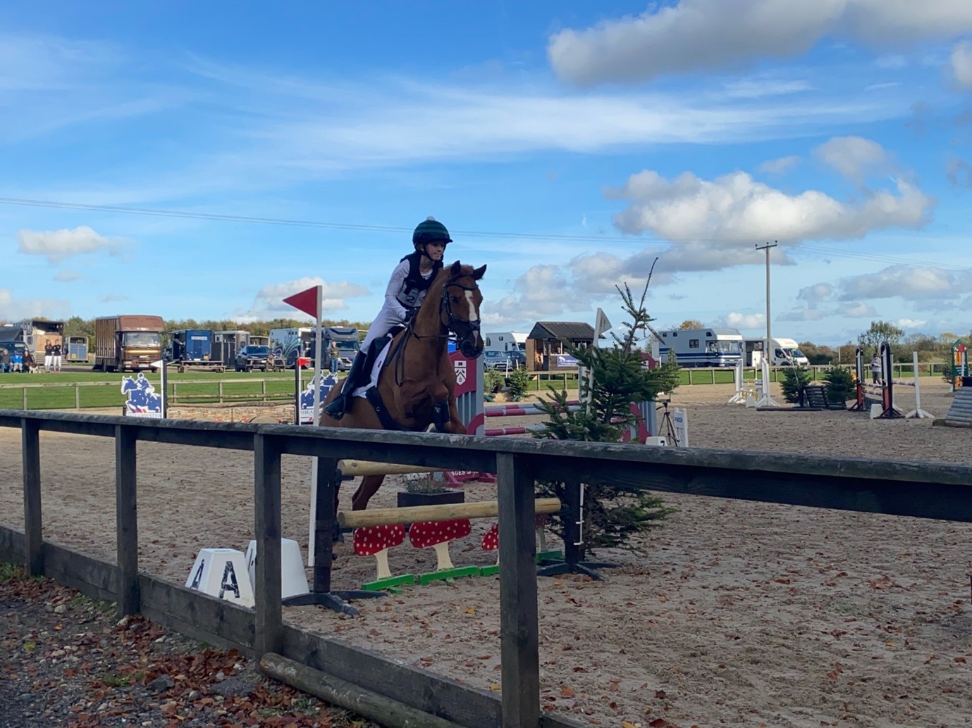 Year 8 student Olivia on her horse at the NSEA Show Jumping Competition
